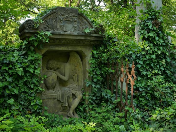 Olšany Cemetery photo 2