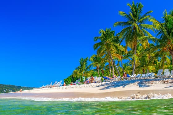 Cayo Levantado photo 3