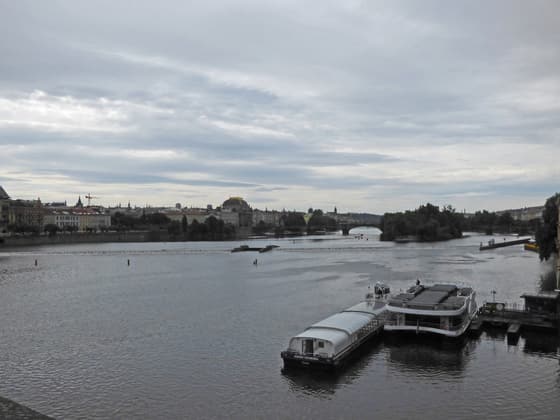 Střelecký Island photo 3
