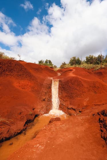 Waimea Canyon Trail photo 3