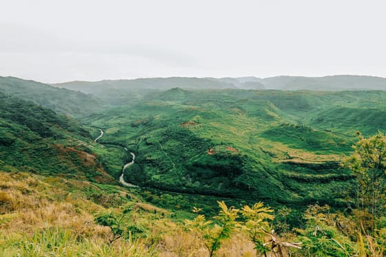 Waimea Canyon Trail photo 2
