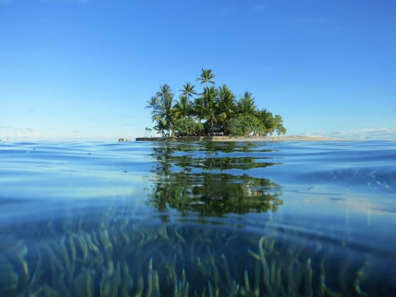 Coral Island photo 2