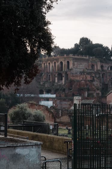Domus Severiana photo 3