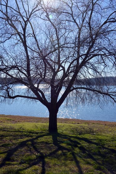 Lago di Martignano photo 2