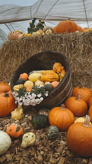 Smucker's Gourd Farm photo 2