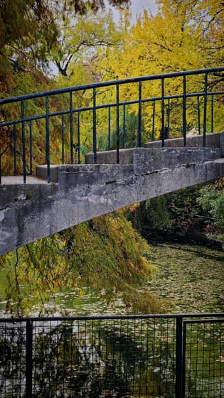 Cismigiu Parc photo 3