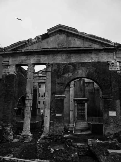The Portico of Octavia photo 2