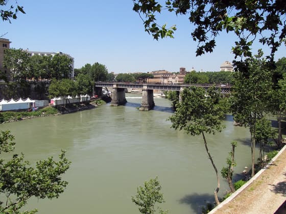Ponte Palatino photo 3