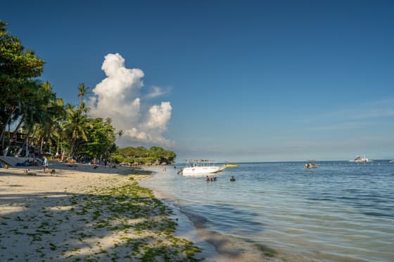 Alona Beach photo 3