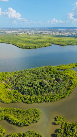 Mangrove National Park photo 2