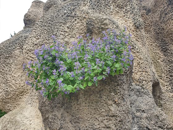Grotta Umělá Jeskyně photo 2