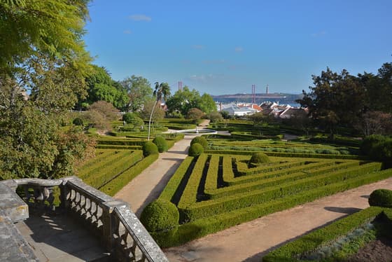 Jardim Botanico da Ajuda photo 2