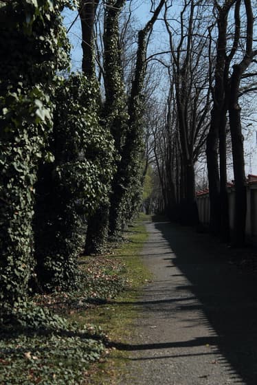 Nový židovský Hřbitov photo 2