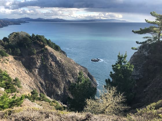 Muir Beach photo 3
