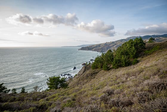 Muir Beach photo 2