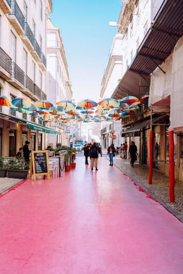 Calle Rosa de Lisboa photo 3