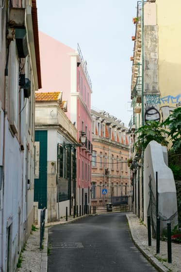 Calle Rosa de Lisboa photo 2