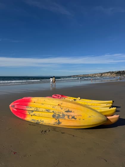 La Jolla Shores Park photo 2