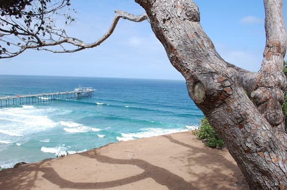 La Jolla Shores Park photo 3