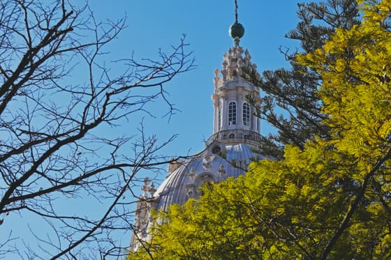 Basilica da Estrela photo 3