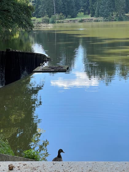 Pruhonice Park photo 2