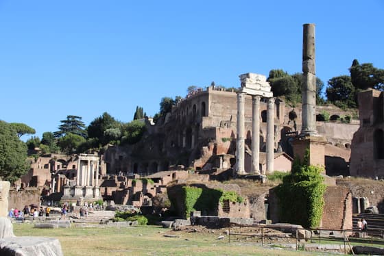 Domus Tiberiana photo 3