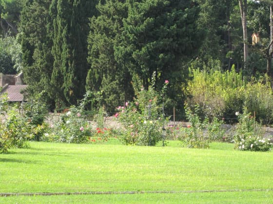 Roseto Comunale photo 3