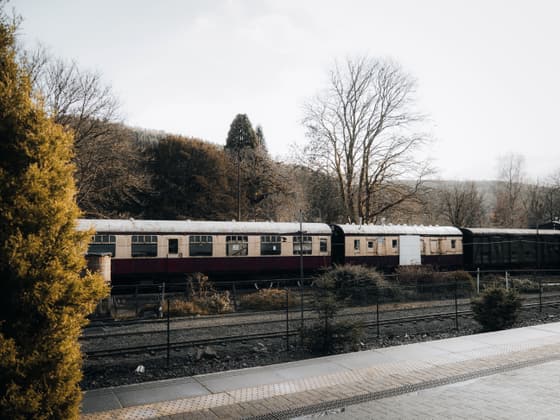 Ffestiniog & Welsh Highland Railways photo 3