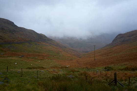 Ffestiniog & Welsh Highland Railways photo 2