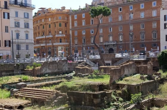 Temple of Feronia photo 3