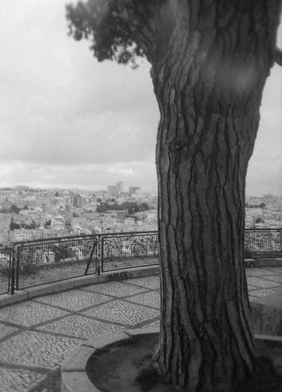 Miradouro Da Senhora Do Monte photo 2