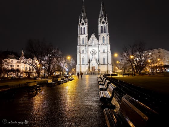 Vinohrady photo 3