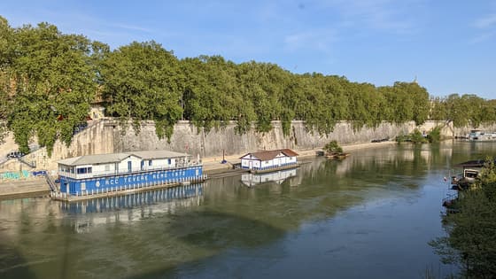 Ponte Regina Margherita photo 3