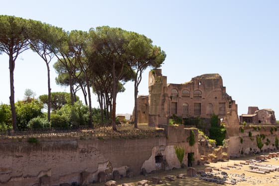 Palace of Domitian (Domus Flavia) photo 2