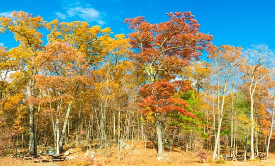 Hopkinton State Park photo 3