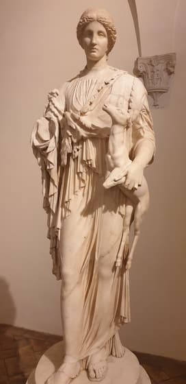 Museo Nazionale Romano - Palazzo Altemps photo 3