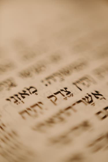 ALEFBET - The Hebrew Letters Art Gallery photo 2
