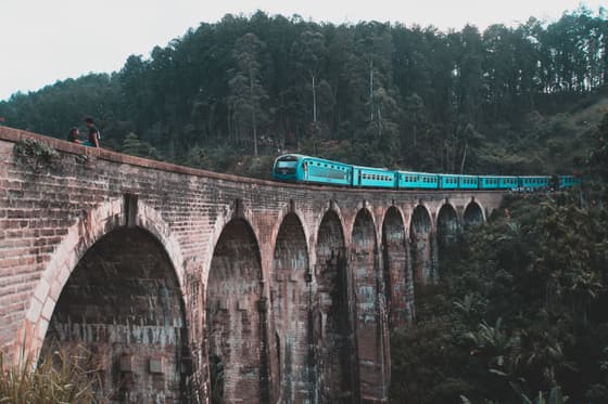 Ella Train Journey photo 3
