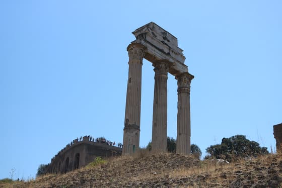 Tempio di Castore e Polluce photo 3