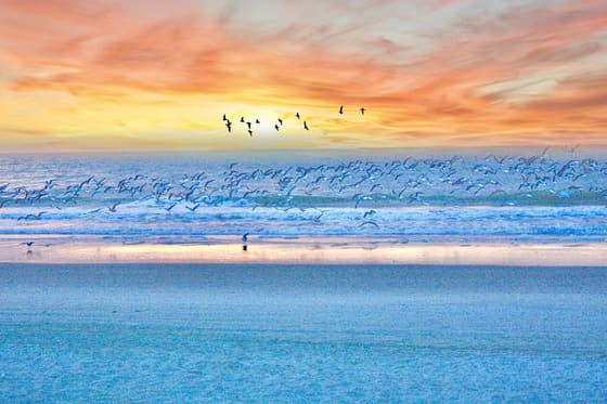 Myrtle Beach photo 3
