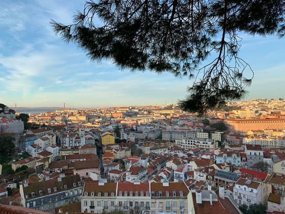 Miradouro da Graca photo 3
